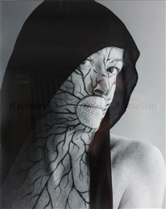 Image description is not available for 2013.112